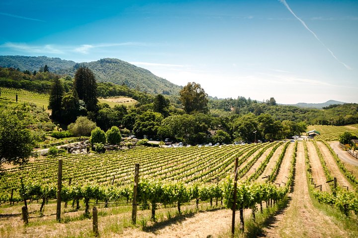 Napa en Sonoma Wine Country dagtour vanuit San Francisco