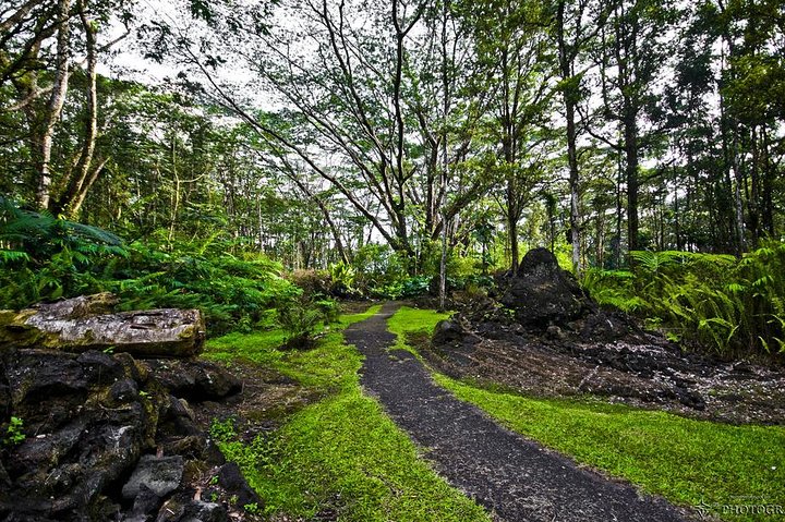 Excursión en tierra de Hilo : Volcán Safari Cuevas de lava & Arena Negra