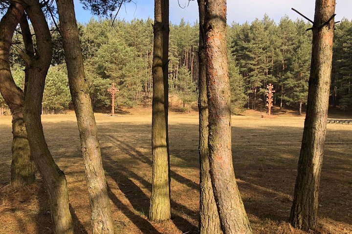 Full-Day The Hill of Crosses Tour from Vilnius