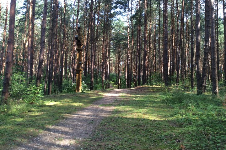 Full-Day The Hill of Crosses Tour from Vilnius