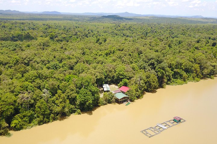 Visite de la faune de Bornéo 2 jours 1 nuit au camp de la jungle de Tanjung Bulat à Kinabatangan