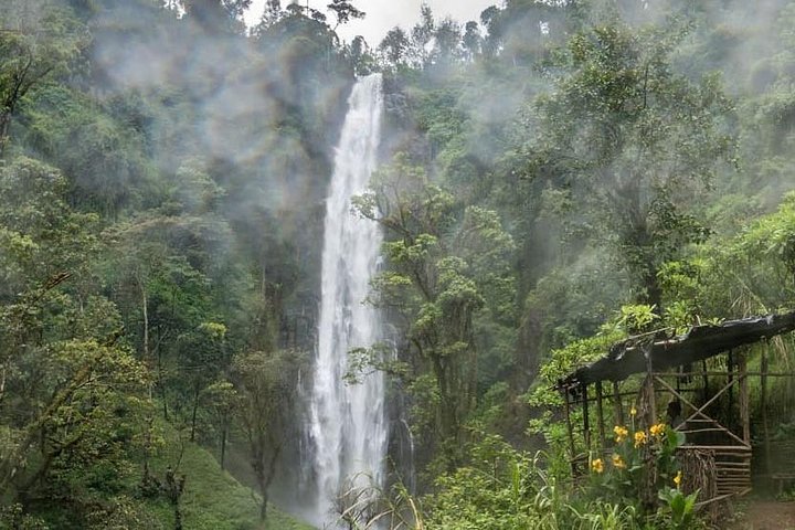 Materuni-Wasserfälle, Kaffeetour und heiße Quellen von Kikuletwa