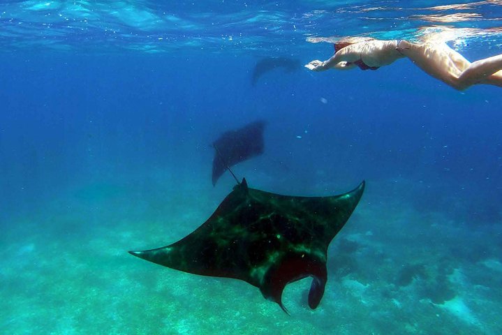 Privétour 4 dagen 3 nachten Komodo op boot, waterval en Rangko-grot