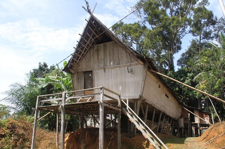 Dayak Lamandau en orang-oetan Tanjung Puting Park Tour 6 dagen