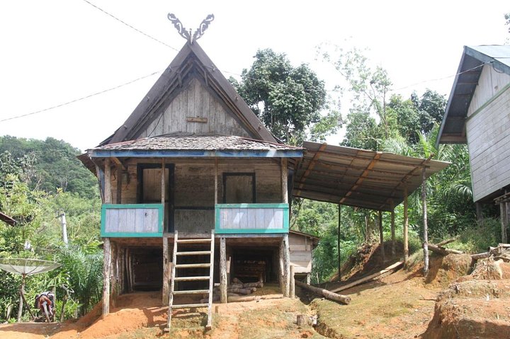 Dayak Lamandau en orang-oetan Tanjung Puting Park Tour 6 dagen