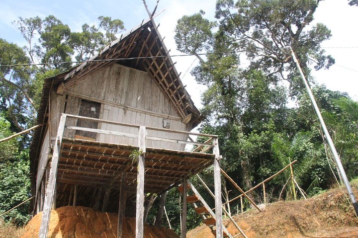 Dayak Lamandau en orang-oetan Tanjung Puting Park Tour 6 dagen