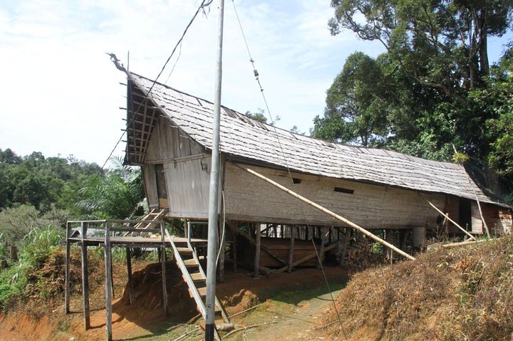 Dayak Lamandau en orang-oetan Tanjung Puting Park Tour 6 dagen