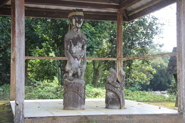 Dayak Lamandau en orang-oetan Tanjung Puting Park Tour 6 dagen