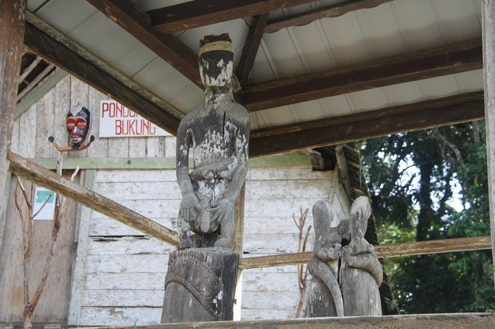 Dayak Lamandau en orang-oetan Tanjung Puting Park Tour 6 dagen