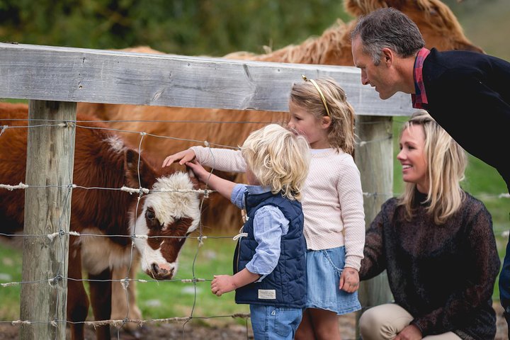 Queenstown Lake Cruise und Walter Peak Farm Abenteuer