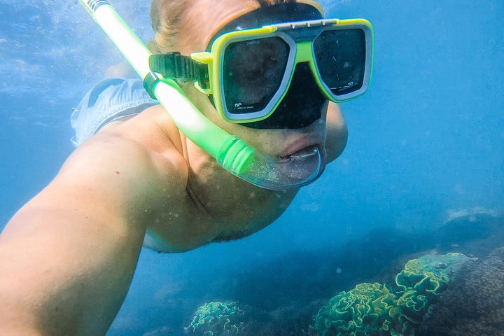 Descubrimiento de tortugas y gran aventura en el parque marino Sandy