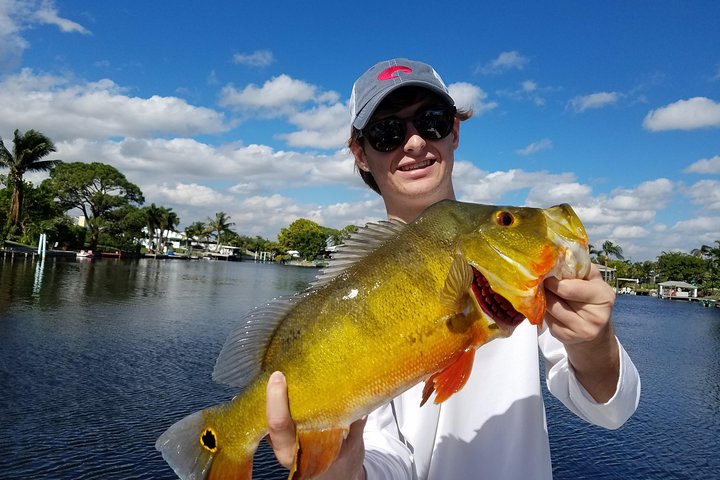 Private Peacock Bass Fishing Charter i nærheten av Boca Raton