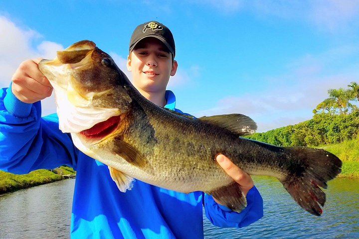 Private Peacock Bass Fishing Charter i nærheten av Boca Raton