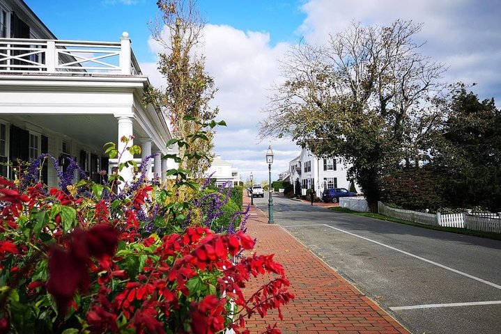 Nr. 1 der besten 3 Stunden Martha's Vineyard gemeinsame Inseltour ab Oak Bluffs