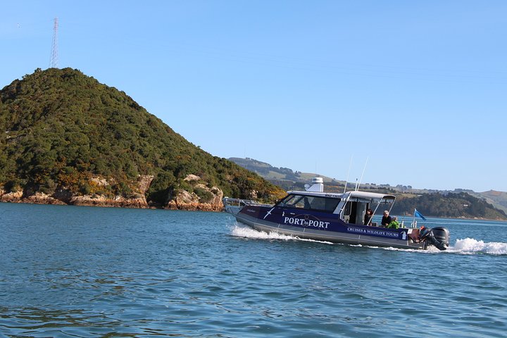 Albatrossen, zeehonden en zeevogels - Wildlife Cruise