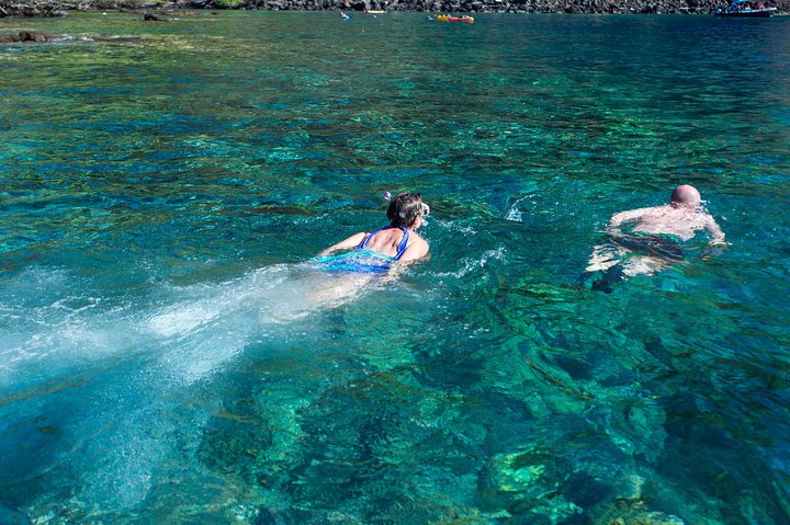 Big Island : Capitaine Cook Snorkel sur un catamaran à moteur avec déjeuner