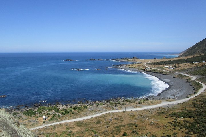 "Pinot til Palliser-tur" - Guidet tur til Cape Palliser med frokost + vinsmagning
