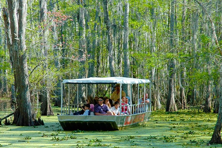 Excursion en bateau dans les marais et bayous de la Nouvelle-Orléans avec transport