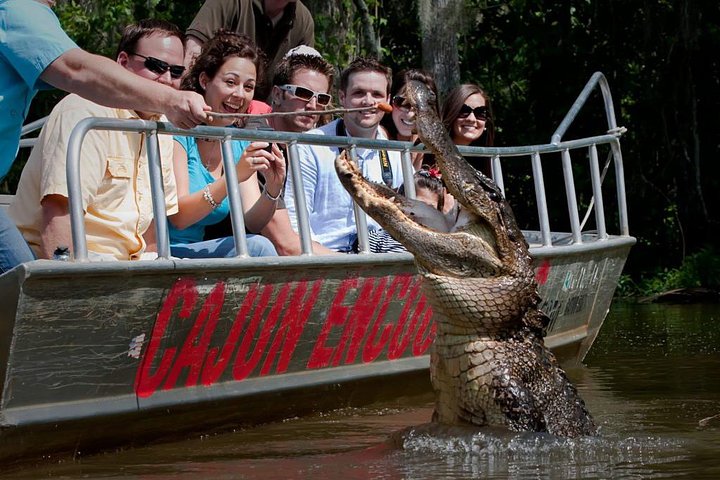 Excursion en bateau dans les marais et bayous de la Nouvelle-Orléans avec transport