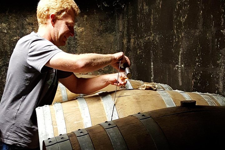 Excursion privée d'une journée au départ de Cognac : Distilleries de vignobles et d'artisanat avec dégustations