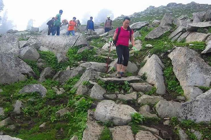 Excursão de Caminhada a Triund de Dharamshala