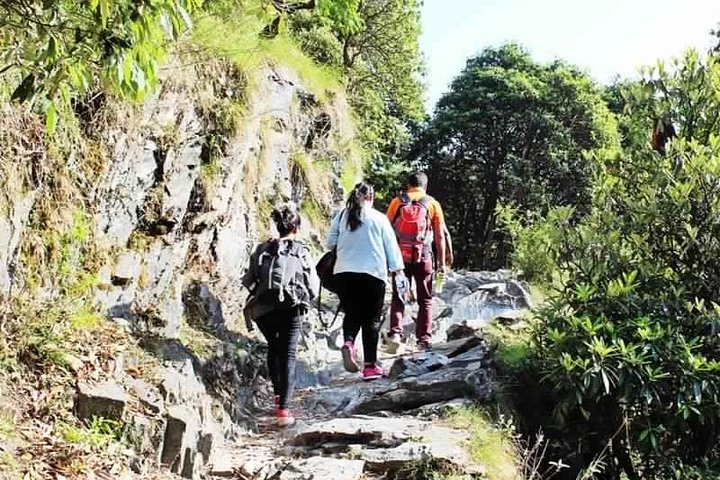 Excursão de Caminhada a Triund de Dharamshala
