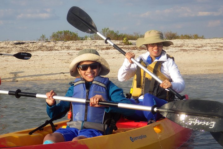 Tour guiado en barco, kayak y a pie por los Everglades
