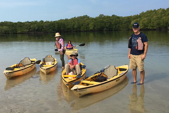 Tour guiado en barco, kayak y a pie por los Everglades