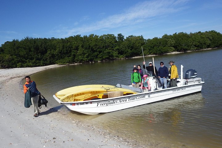 Tour guiado en barco, kayak y a pie por los Everglades