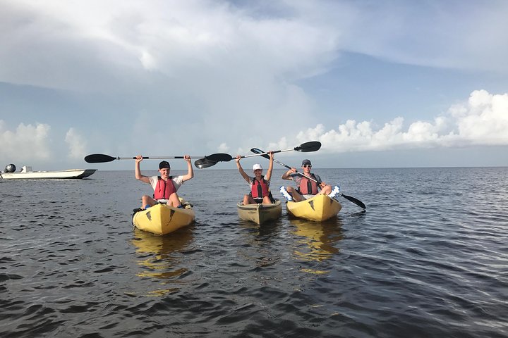 Tour guiado en barco, kayak y a pie por los Everglades