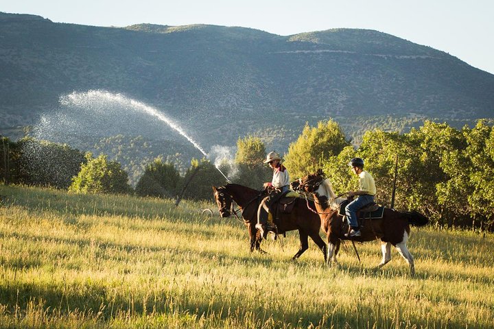 1 hora de passeio a cavalo