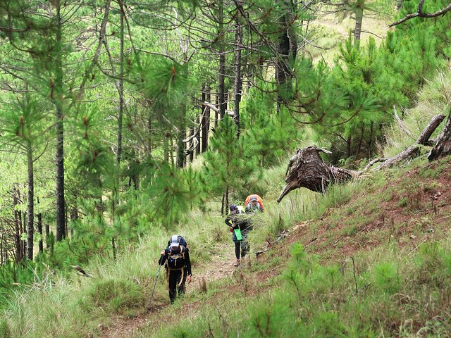 Excursão de Caminhada a Triund de Dharamshala