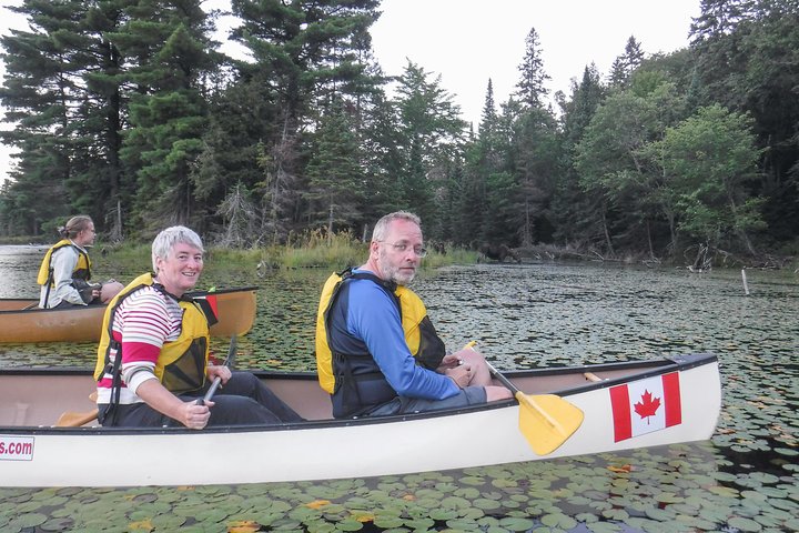 Excursion de trois jours en canot au parc Algonquin - Safari pour les orignaux et les castors