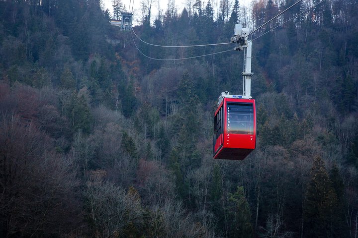 O melhor de Tour de Zurique com Felsenegg Cable Car and Ferry Ride