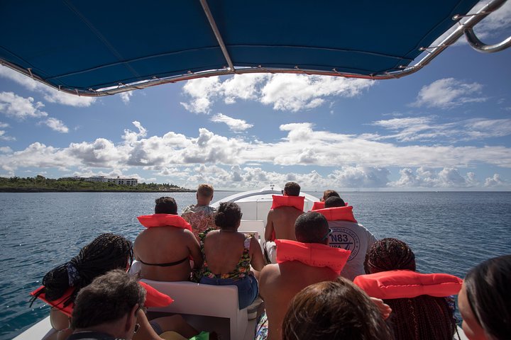 Saona Island Day Trip From Punta Cana with Lunch and Open Bar