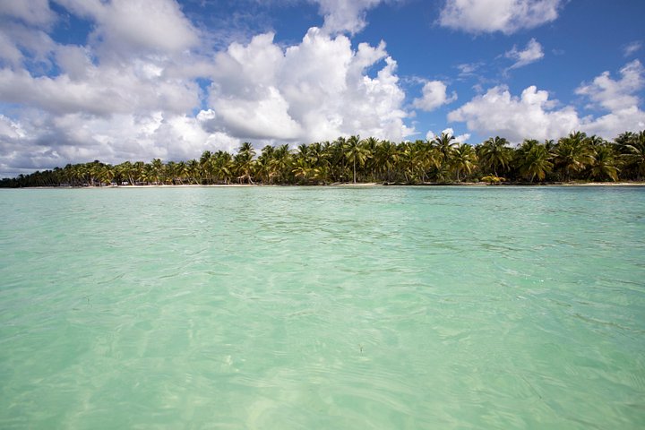 Saona Island Day Trip From Punta Cana with Lunch and Open Bar