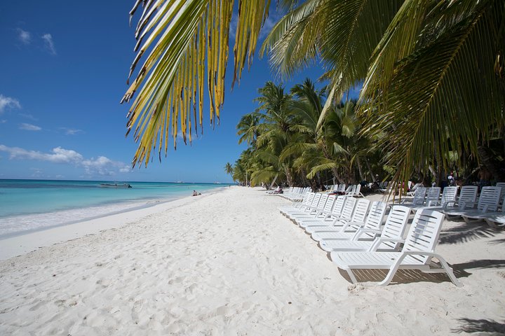 Saona Island Day Trip From Punta Cana with Lunch and Open Bar