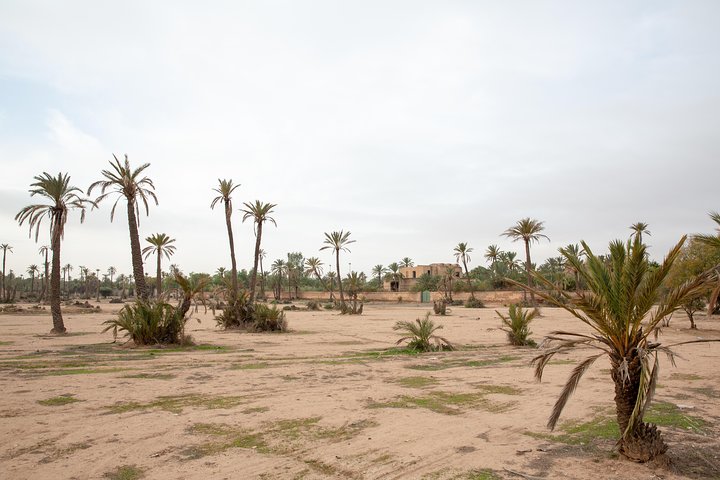 Hoteller i nærheden af Marrakech Hot Air Balloon Ride, Berber Breakfast & Camel Ride