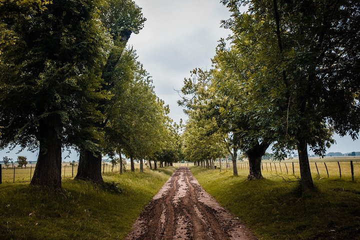 Excursão de um dia a uma fazenda de gaúchos em Buenos Aires