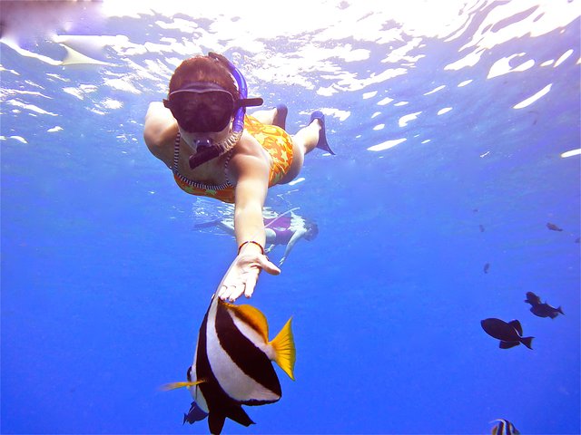 Maui Snorkling äventyr Från Ma'alaea hamnen till Molokini