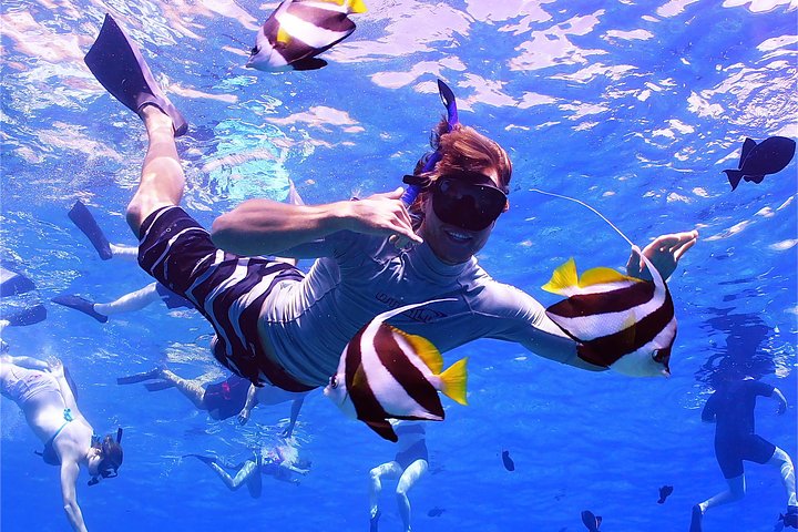 Maui Snorkling äventyr Från Ma'alaea hamnen till Molokini
