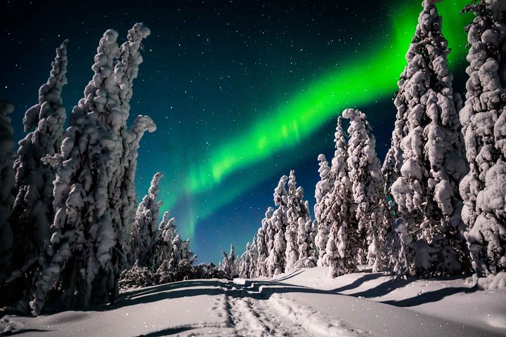 Private Northern Lights fotografie tour in Rovaniemi