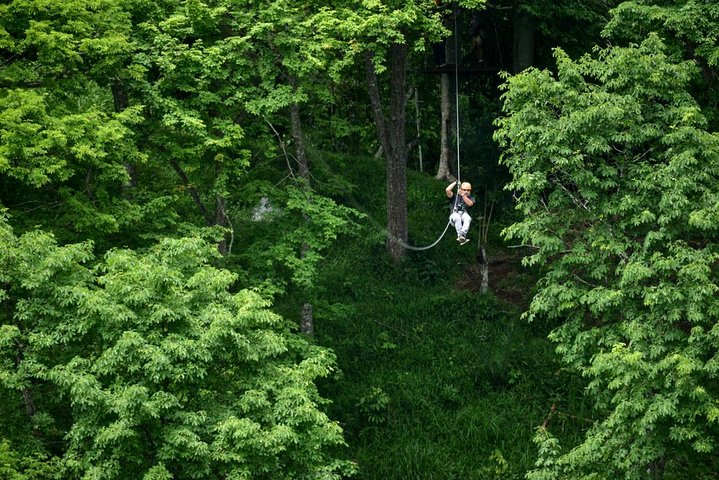 Puntarenas Zipline & River Boat Tours. Puntarenas Landausflug