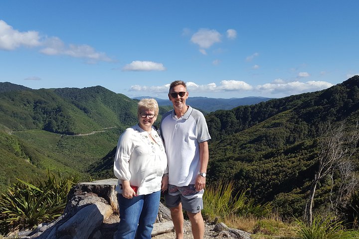 Excursão de meio dia pela vinícola Martinborough saindo de Wellington