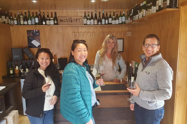 Excursão de meio dia pela vinícola Martinborough saindo de Wellington