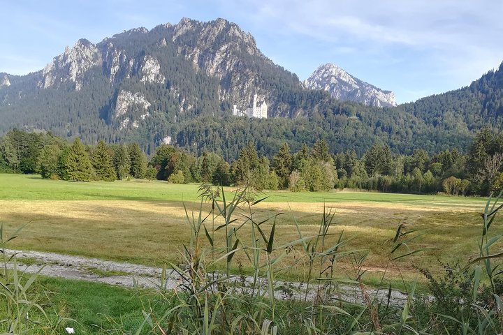 Halvdagstur från Garmisch-P till slottet Neuschwanstein