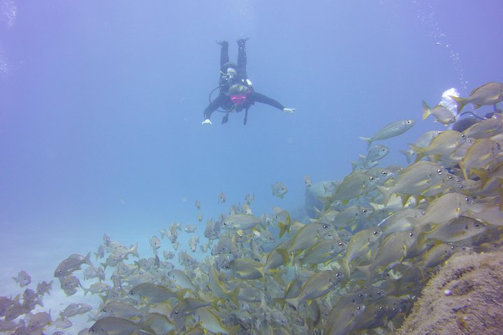 Scuba Diving Beginners Session i Costa Adeje