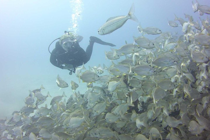 Scuba Diving Beginners Session i Costa Adeje
