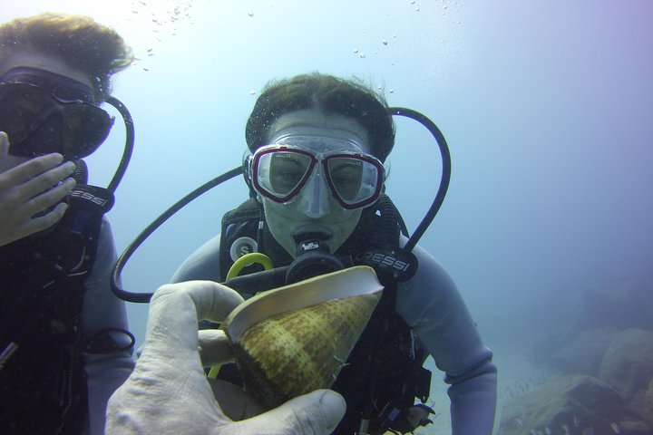 Scuba Diving Beginners Session i Costa Adeje