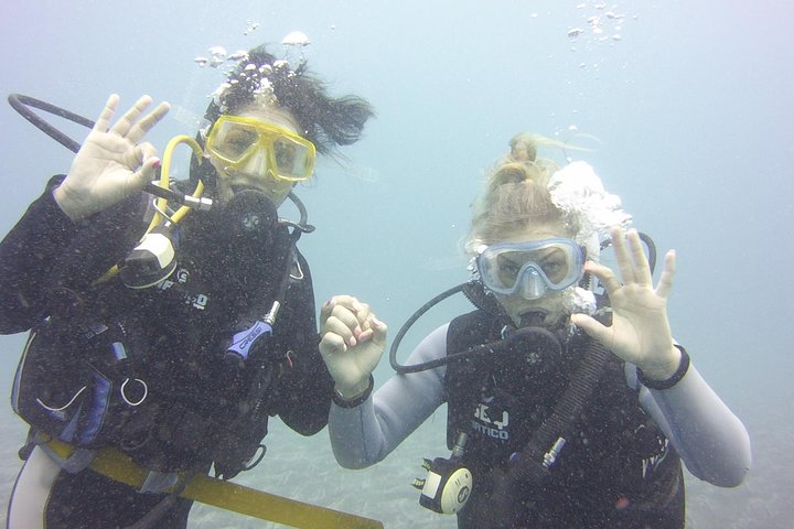 Scuba Diving Beginners Session i Costa Adeje